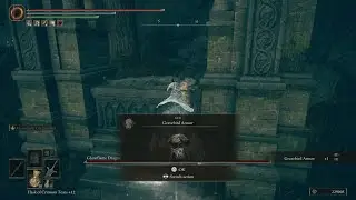 Gravebird Armor Location - Elden Ring Shadow of the Erdtree