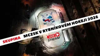 ALMARK PANTHERS VS DIVOKE LISKY