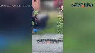 Schoolboy Seen in Physical Confrontation with Police Collapses