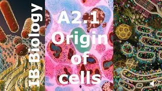 IB Biology &ndash; A2.1 Origin of Cells