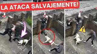 PITBULL ATACA a MUJER POLICÍA y no la suelta! ⚠️ - ¿Son PELIGROSOS?