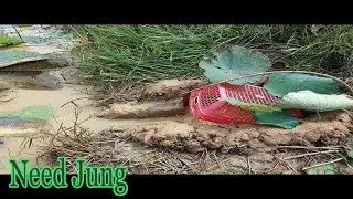 Deep Hole Fish Trap With Plastic Basket-How To Make Easy Deep Hole Fish Trap In Cambodia - Need Jun