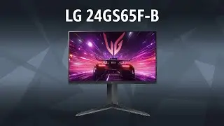 Монитор LG 24GS65F-B