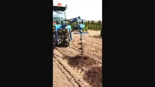 Plantgaten boren