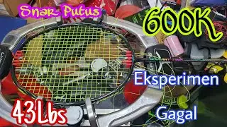 Eksperimen Maxbolt Gallant Tour 43Lbs Yang Gagal ||#vlog010