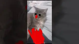 how liony characters look like in hardcore mode in liony