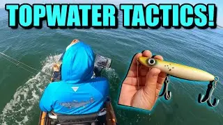 Topwater Tactics For Striped Bass