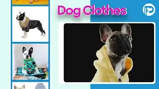 Promo Video For Pet Store | petsocoolstore.com