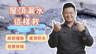 屋頂變生態池😱 不漏水才怪啦！ | 不只是裝修 #漏水 #抓漏 #頂樓防水 #天花板壁癌 #屋頂漏水 #防水工程