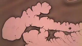 Wafer surface: spin coated at 500 rpm