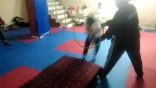 Ring flip karate