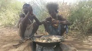 Tasting Animal Soup