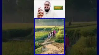 mustaqbil ke muballig #islam #shorts
