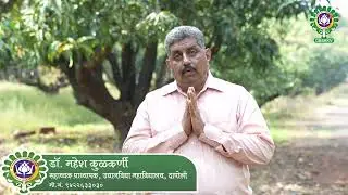 आंबा पुनरुज्जीवन करताना झाडाची निवड । Selecting Tree for Rejuvenation | Dr. BSKKV, Dapoli