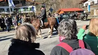 Pferde Leonhardi 66