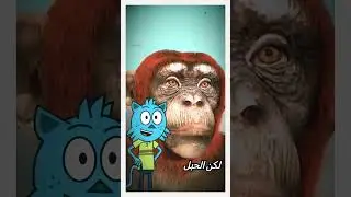 زراعة رأس قرد 🐒