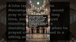 Sahih Muslim #1700 | The Book of Prayer - Travellers #hadith