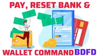 BDFD Pay, Reset Bank & Wallet Command