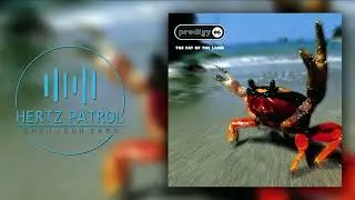 The Prodigy   Smack My Bitch Up   432hz