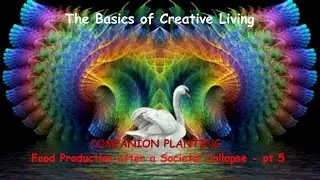 Food Production in a Societal Collapse -  pt 5 COMPANION PLANTING