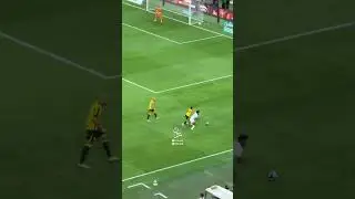 SADIO MANE GOAL FROM THE STANDS! 🔥 #football #ronaldo #alnassr
