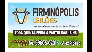 FIRMINOPOLIS LEILÕES 05/02/2026