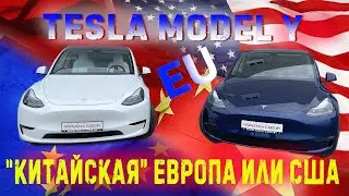 Tesla model Y: 