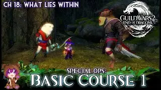 GW2 Special Ops Basic Course 1 achievement