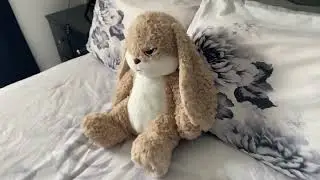 Acompañame tengo unos asuntos que resolver 