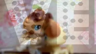 ♡❤Littlest Pet Shop: Valentines Day Special 2014❤♡
