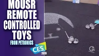 Mousr Remote Controlled Toys for your Cat