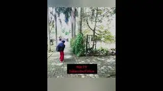 Funny Prank#FunnyPrank #MomReaction #CryingPrank #NikiTV #EpicPrank #LaughOutLoud #SurprisePrank
