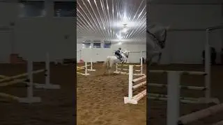 flying! (for us hehe) #horse #equestrianjourney #equestrian journey #horsesports #horseracing