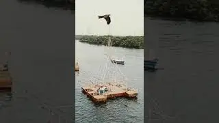 View From Neti Jeti Bridge#shorts#