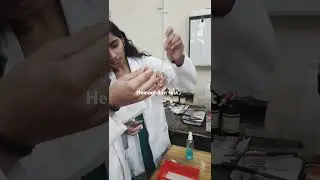 BAMS practical time 👩&zwj;⚕️#bamsstudentlife #bams #bamscollegelife #hemoglobin #practical