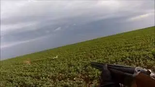 Compilation d'arr&ecirc;ts et de tirs aux petits gibiers