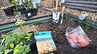 Planting Bunching Onions, Winter Peas, Mini Bok Choy & DIY String Trellis   Reverse Homesteading