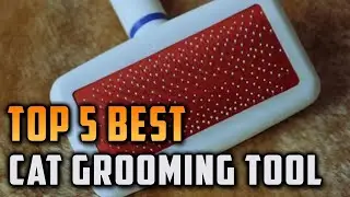 Top 5 Best Cat Grooming Tool on On Aliexpress On Amazon