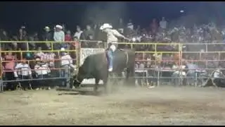 Montas de puro valor mexicano(2)
