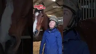 Remarkable story! | Former Dante 3rd BLUEGRASS is now a 5-time winner over Hurdles!