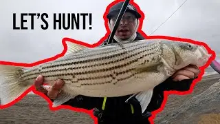 Striped Bass Jerkbait Fishing in San Francisco (CA Surf Fishing Tour) 5 DAYS! ft. @DieHardFishing