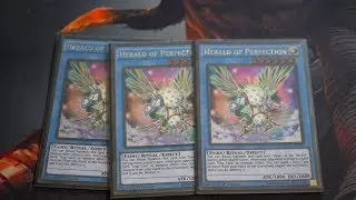 Herald of Perfection Deck Profile - November 2019 | Budget Yugioh