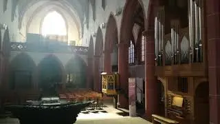 Neustadt am Wein (D) - Organ Concert - Manuel Tomadin