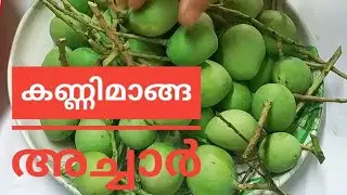 പരമ്പരാഗതമായ രീതിയിൽ ഒരു കിടിലൻ കണ്ണിമാങ്ങ അച്ചാർ // Tender Mango Pickle // Traditional Style Recipe