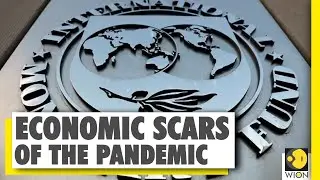 IMF projects global GDP to contract by 3% in 2020 | Coronavirus impact | World News
