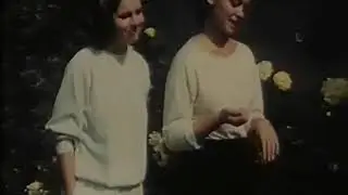 Zander / Hoffman