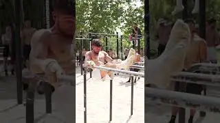 Qu&eacute; barbaridad de combo