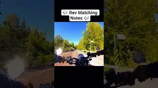 Rev Matching Notes in the middle of the mountains