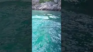 Epic Sea Dive 🌊 | Fun Underwater Short