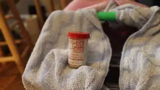 What to do in a PARROT EMERGENCY (CC ON) while waiting for the avian vet